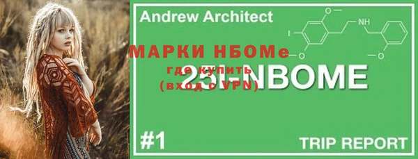 прущая мука Арсеньев