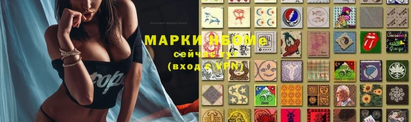 прущая мука Арсеньев