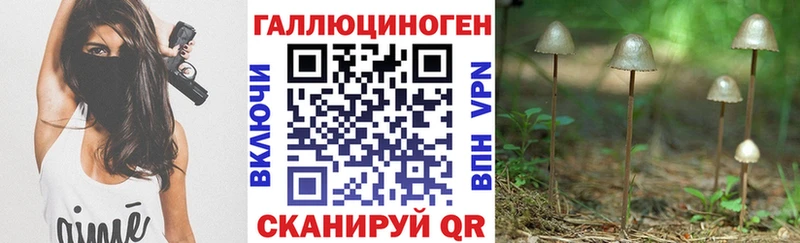 Галлюциногенные грибы мухоморы  где купить наркотик  Порхов 